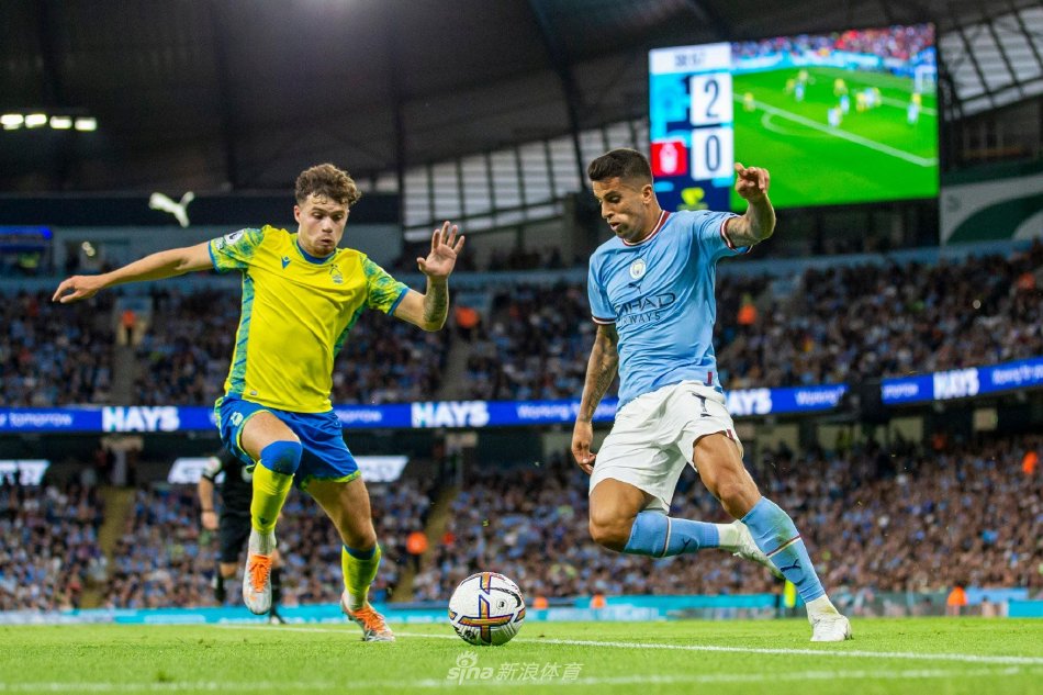 在封闭的朝 在封闭的朝